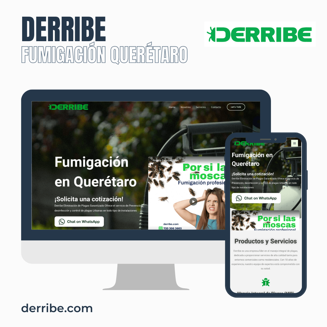Proyecto Diseño de página web terminada entregada Cliente Derribe Querétaro